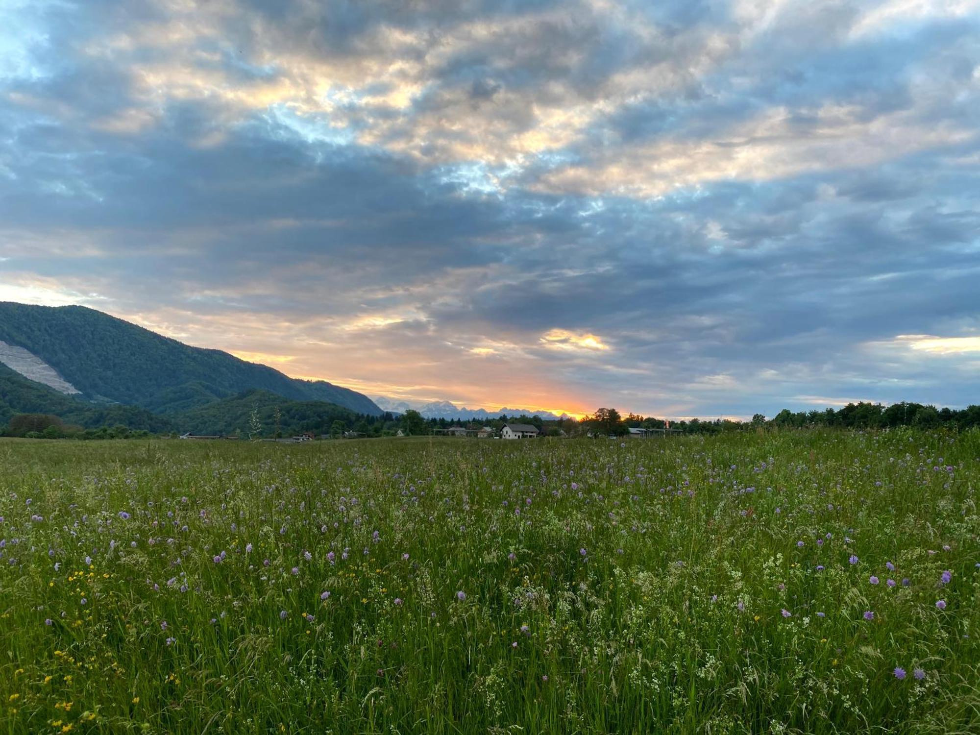Luxury Holiday Home Near Lake Bled & The Alps Kropa Экстерьер фото