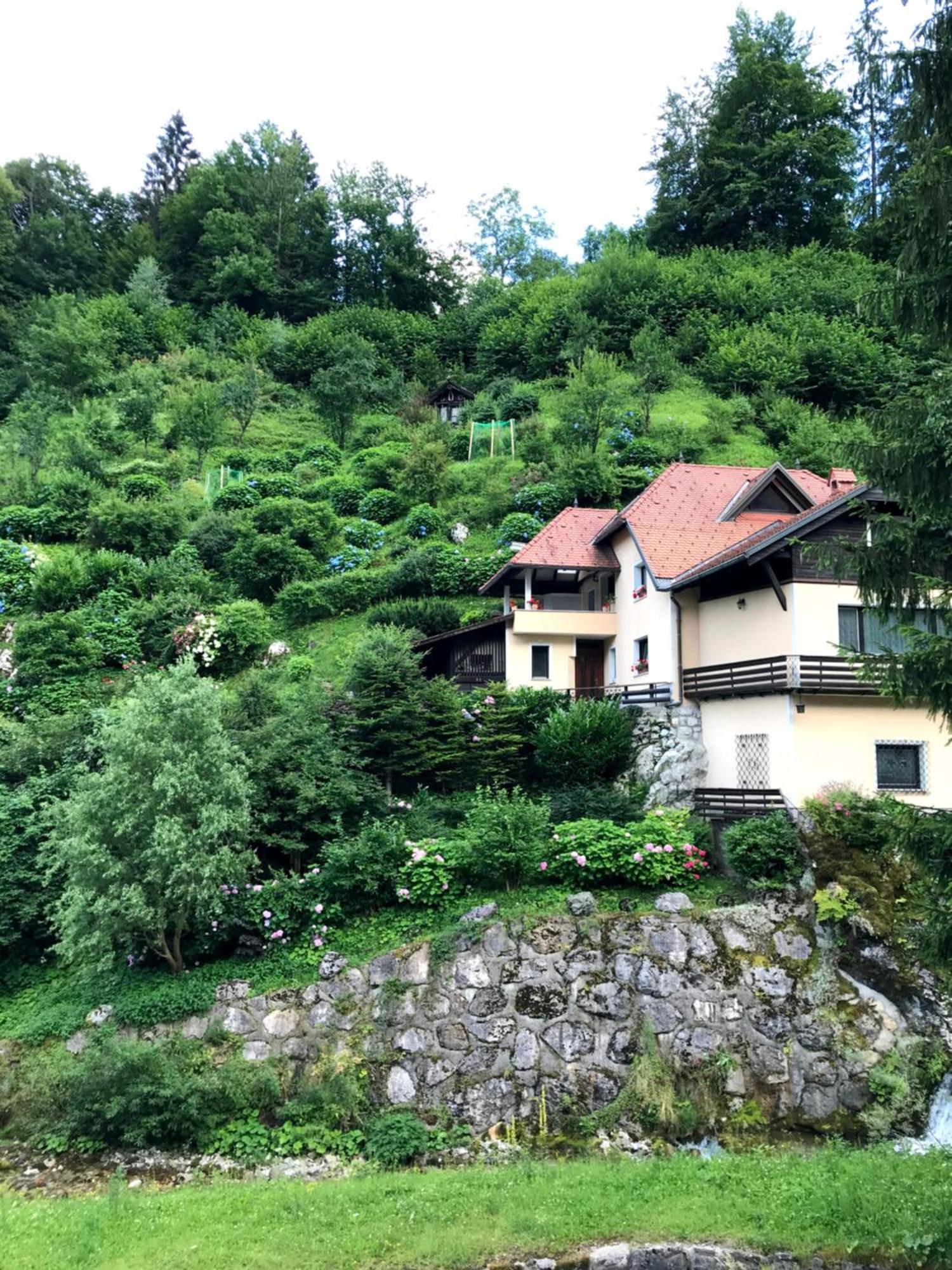 Luxury Holiday Home Near Lake Bled & The Alps Kropa Экстерьер фото